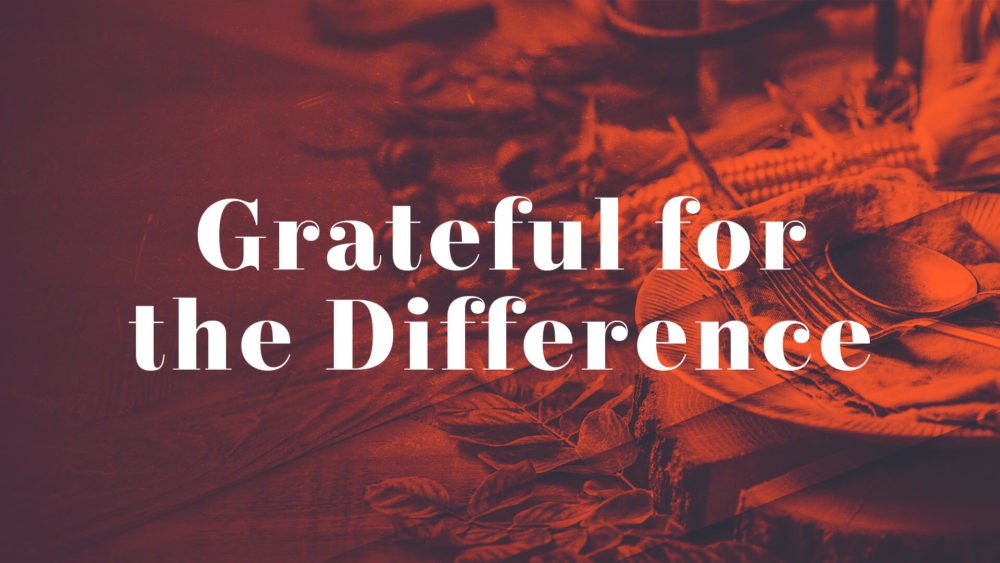 Grateful for the Difference Image
