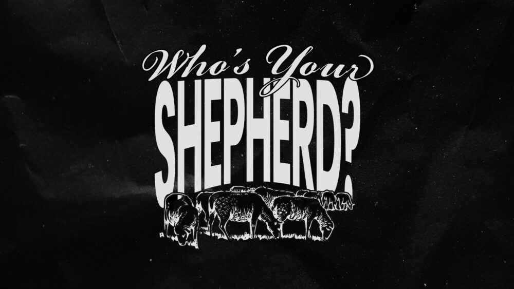 Who's Your Shepherd? Image