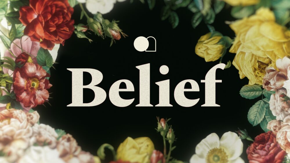 Belief Image