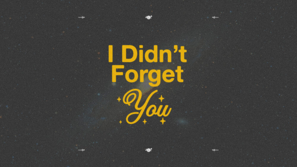 I Didn't Forget You Image